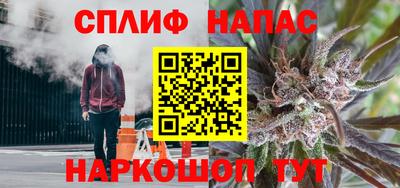 дживик Будённовск