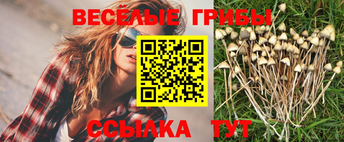 Псилоцибиновые грибы MAGIC MUSHROOMS  Вход с VPN  Псилоцибиновые грибы Magic Shrooms  Шуя 