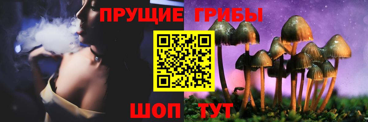 Галлюциногенные грибы Psilocybine cubensis Шуя